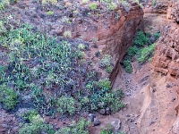 Barranco de las Vacas
